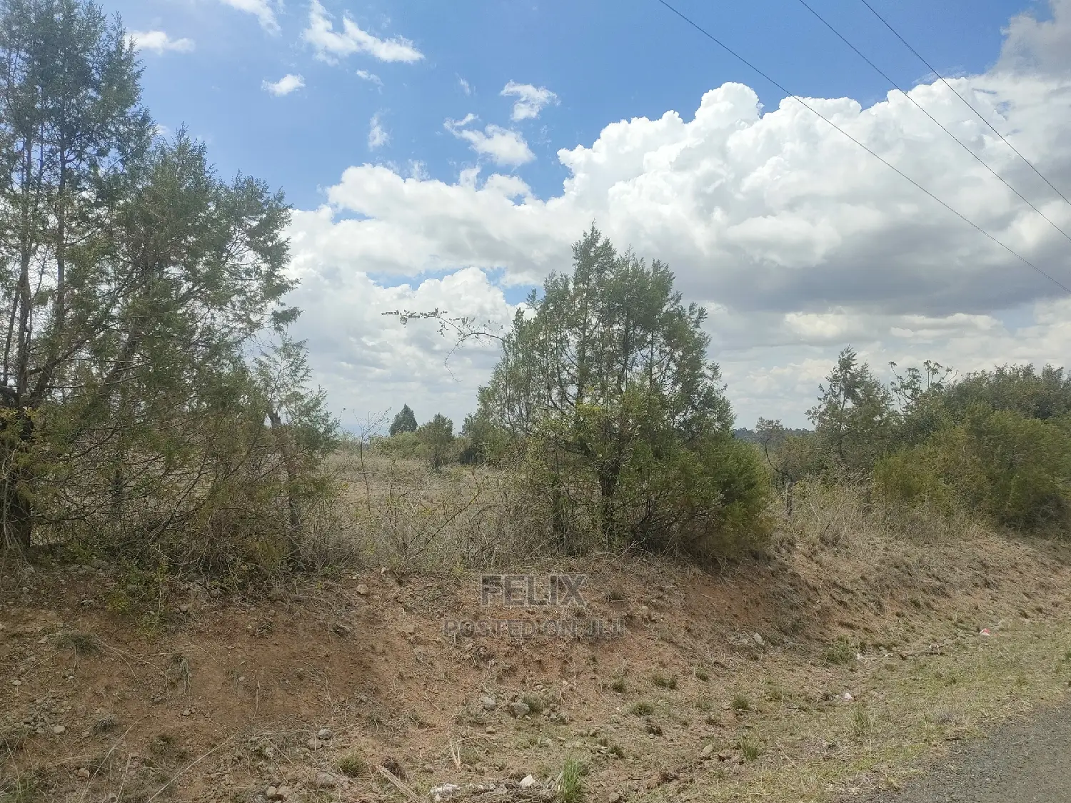 2 Acres Narumoru/Blueline Rongai Touching Main Tarmac