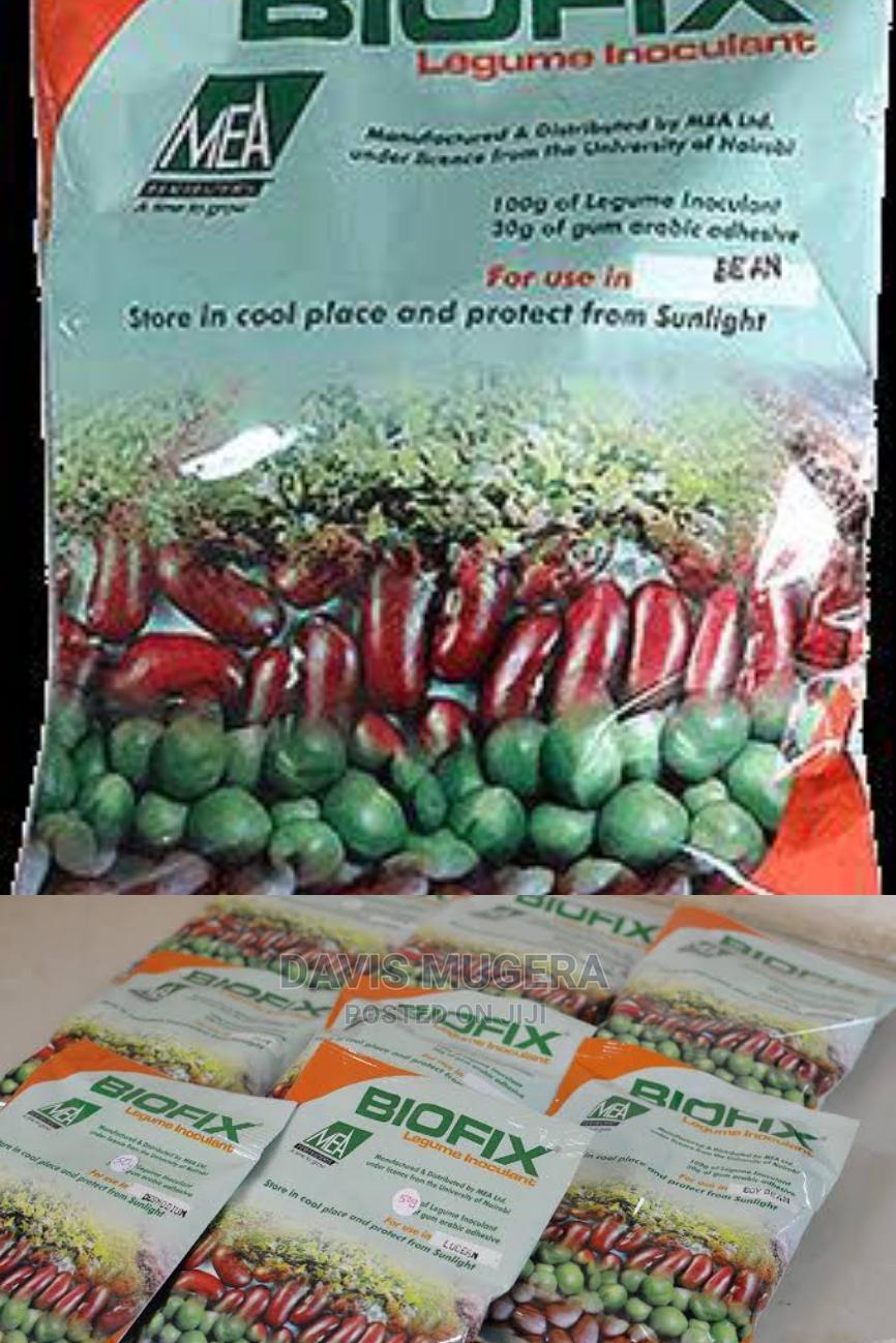 Inoculant for Legumes, Beans, Lucerne in Nairobi Central Feeds
