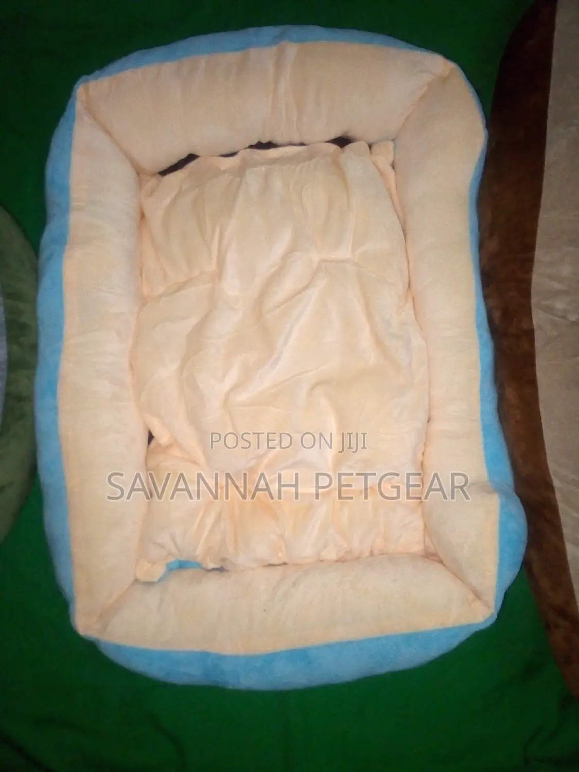 Cosy Imported Dog Beds for Cats and Dogs With Mattress