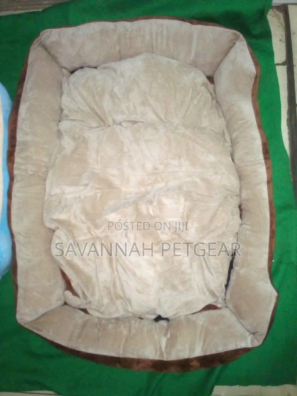 Cosy Imported Dog Beds for Cats and Dogs With Mattress
