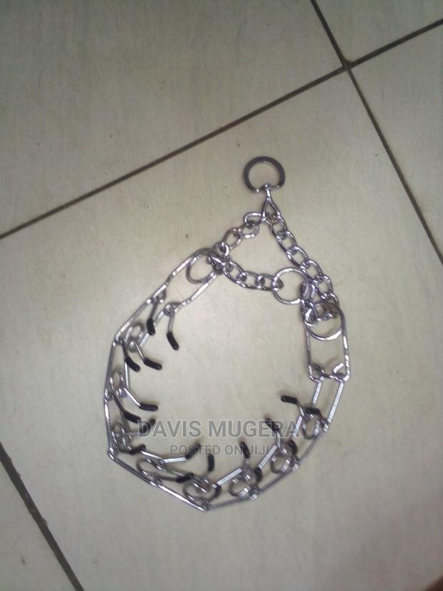 Dog Training Pinch Collar - thumbnail 4