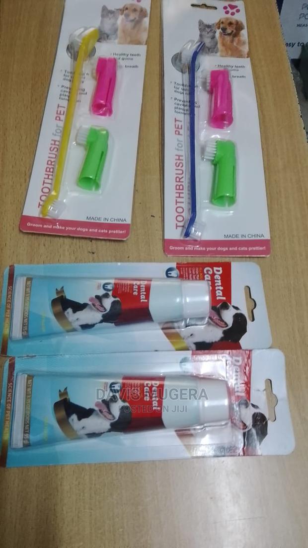 Dog Toothpaste Dog Dental Care - thumbnail 3