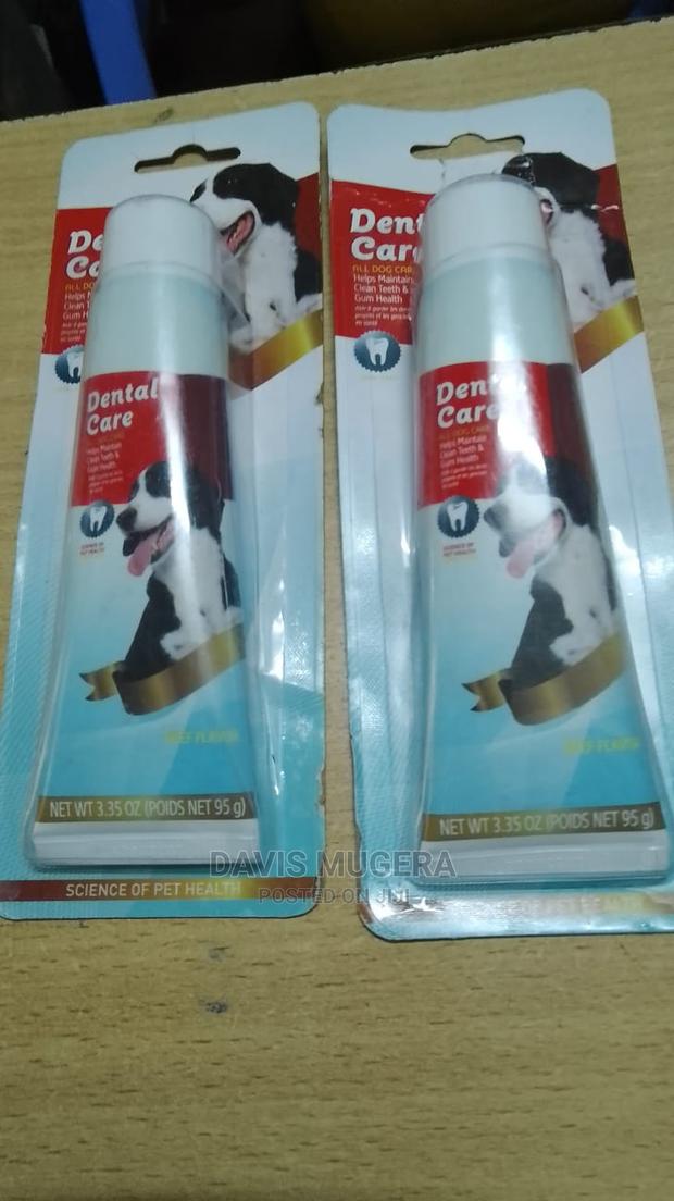 Dog Toothpaste Dog Dental Care - main view