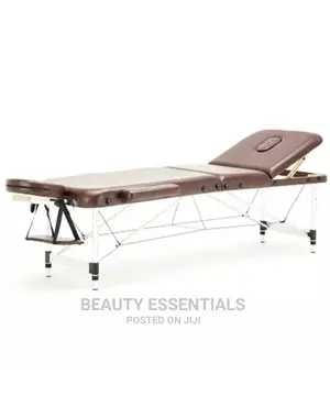 Portable Metallic Beauty and Massage Bed