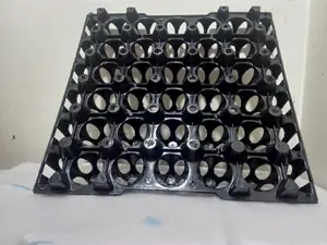 Black Egg Trays