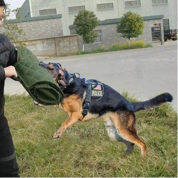 Training Dog Bite Sleeve - thumbnail 4