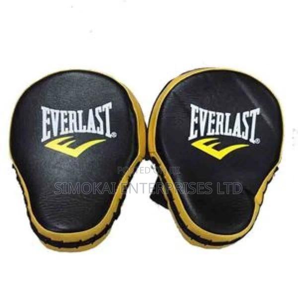 Everlast Boxing Pads