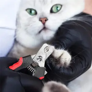 Professional Nail Trimmer for Dogs + Dog Nail File