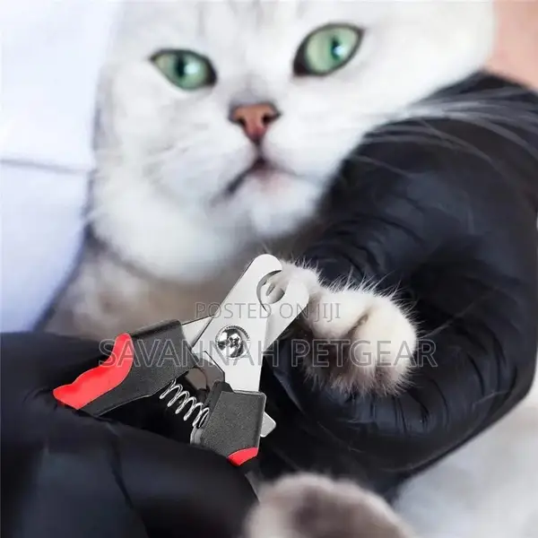 Professional Nail Trimmer for Dogs + Dog Nail File