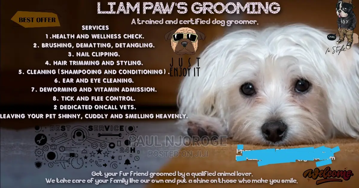 Professional, Certified Dog Groomer.