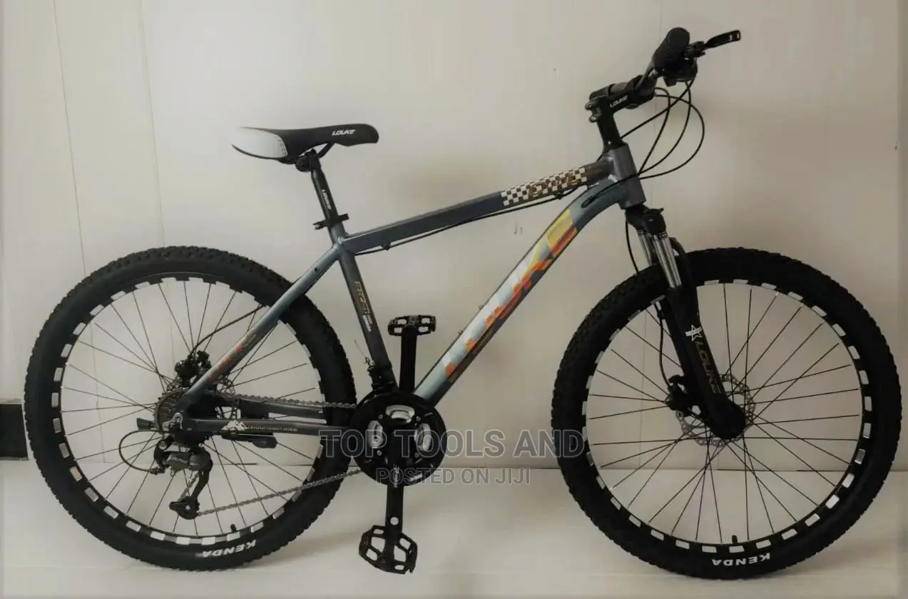 Adult Bicycle Black Size 24