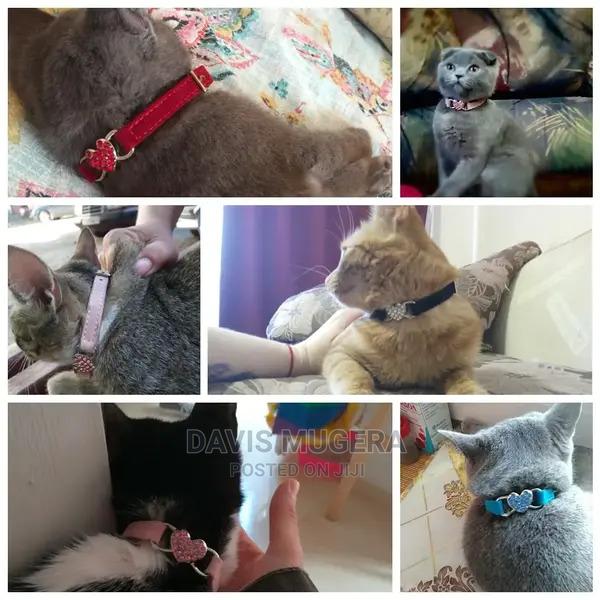 Luxury Velvet Cat Collar With Crystals - thumbnail 5
