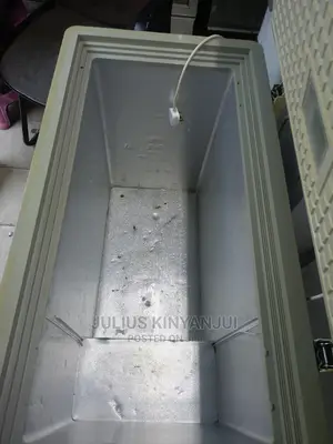 Deep Freezer 300l