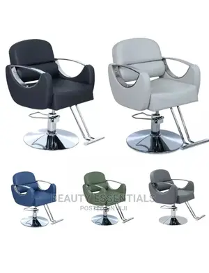 Salon Executive Styling Seats