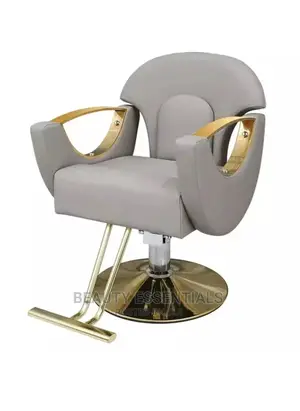 Gray Gold Styling Salon Seat