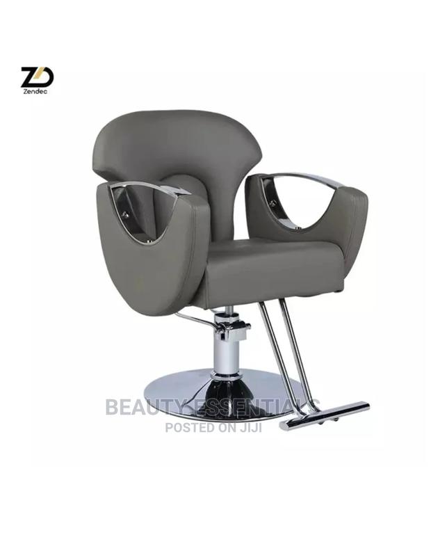 Gray Silver Salon Chair