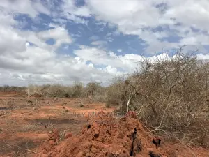 10 Acre Land Malindi1