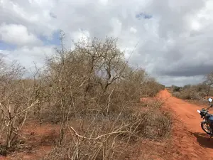 10 Acre Land Malindi1