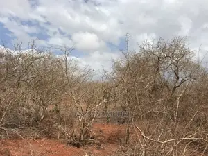 10 Acre Land Malindi1