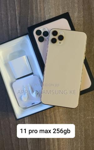Apple iPhone 11 Pro Max 256 GB Gold - main view