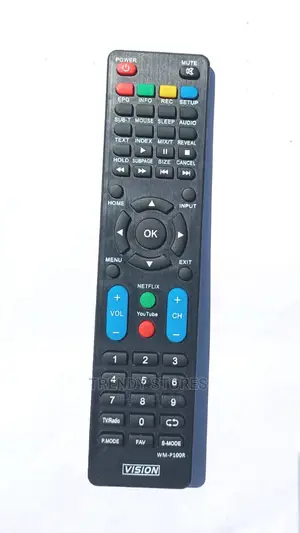 Vision Plus TV Remote