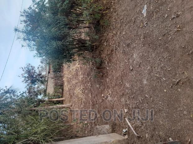 Best Land Deals - thumbnail 4