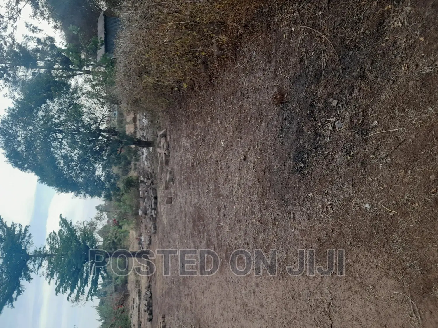 Best Land Deals