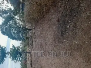 Best Land Deals