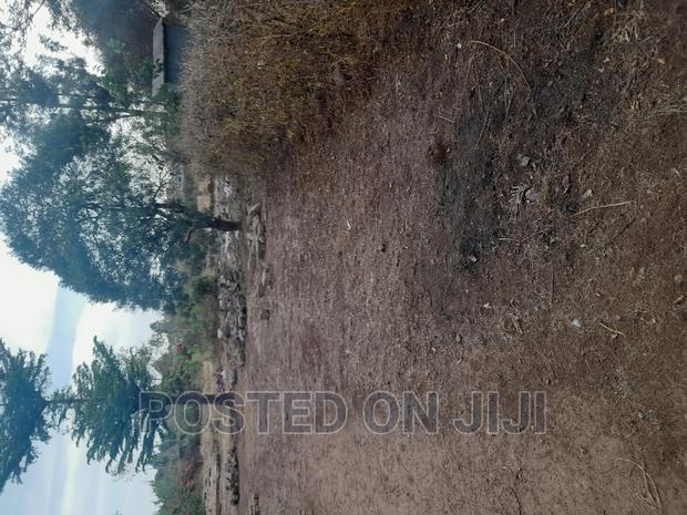 Best Land Deals - thumbnail 5