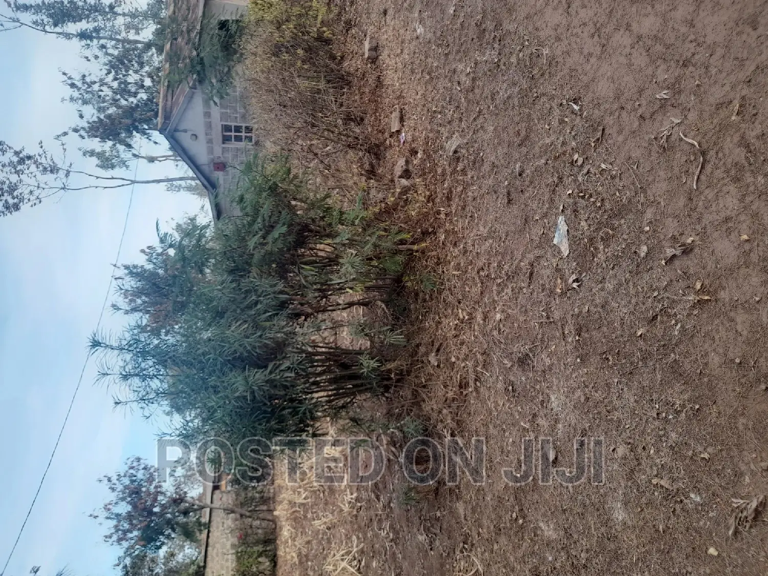 Best Land Deals