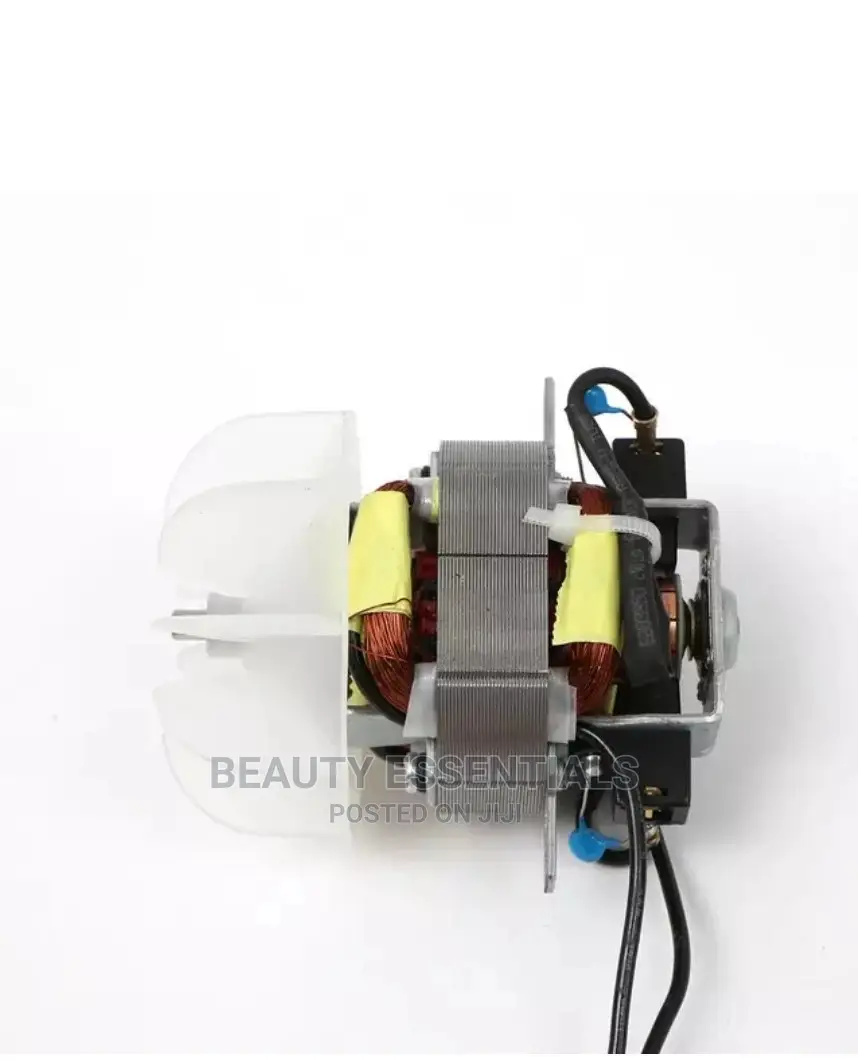 Hair Dryer Motor