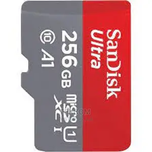Sandisk Microsd Class 10 120mbps 256gb Without Adapter