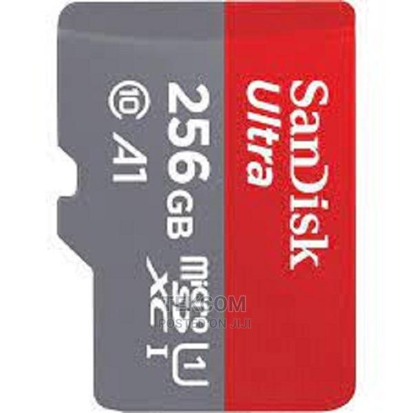 Sandisk Microsd Class 10 120mbps 256gb Without Adapter