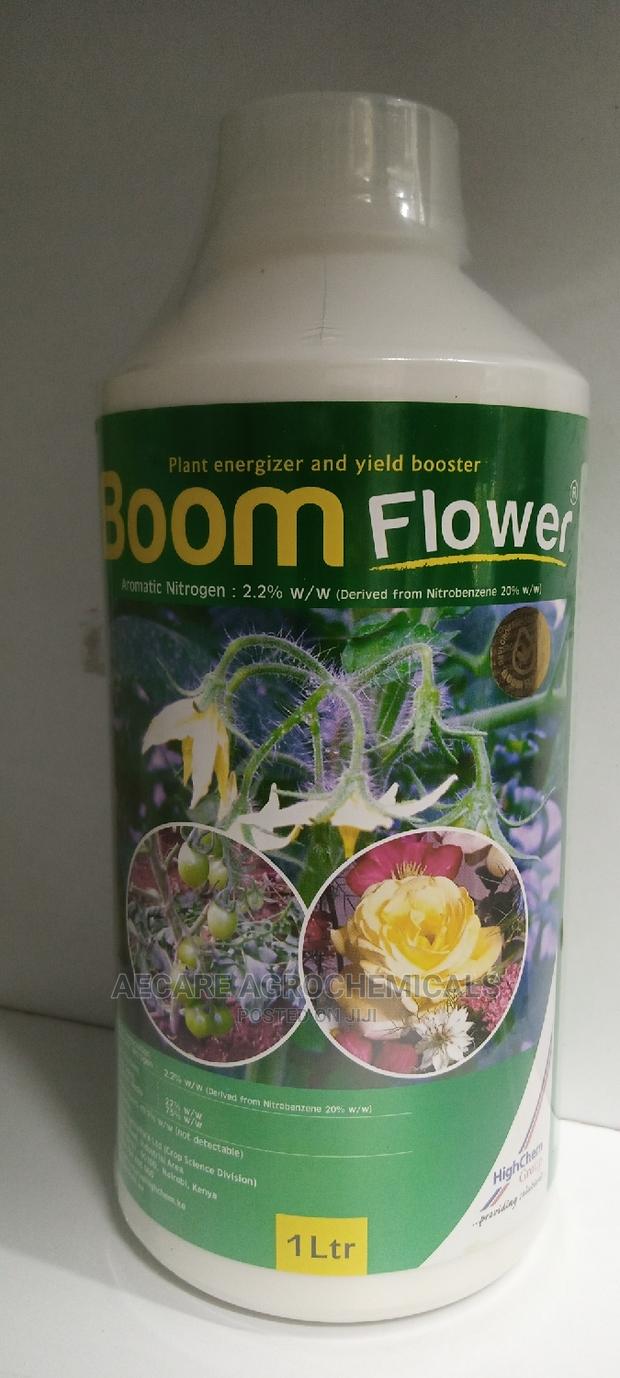 Boom Flower 1litre - thumbnail 14