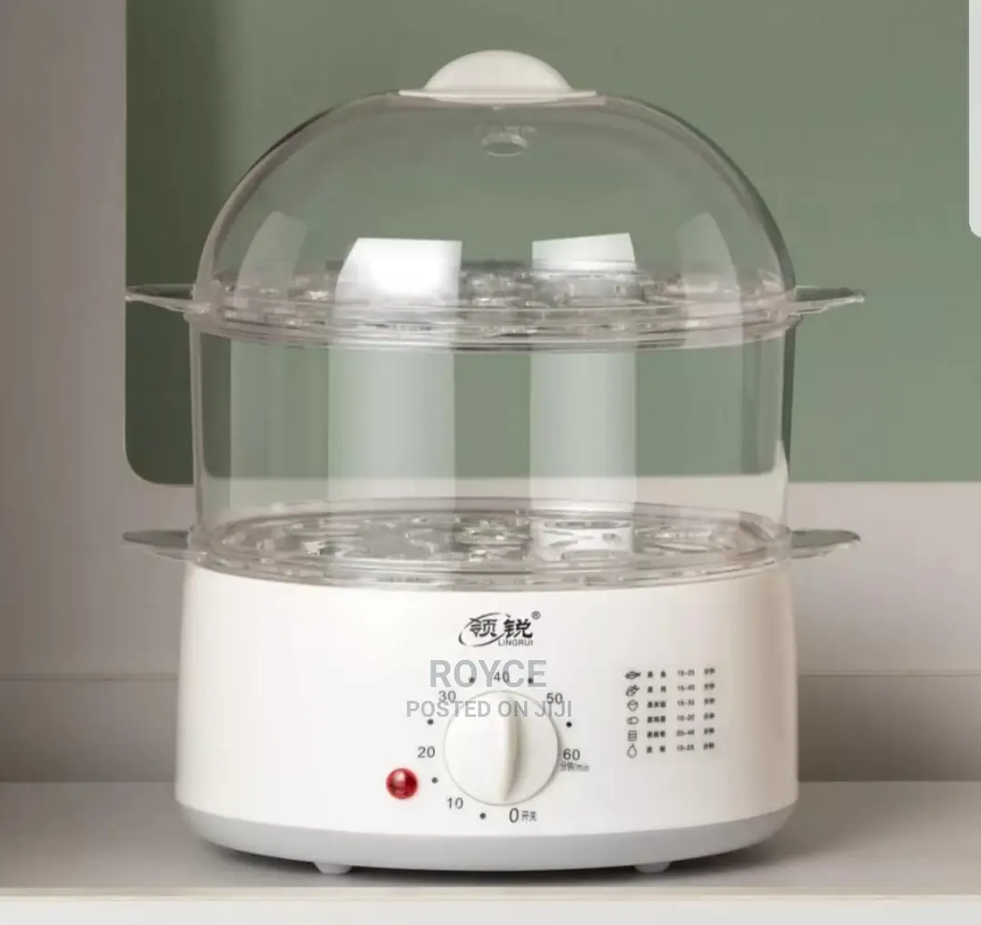 Electric Steam Cooker
