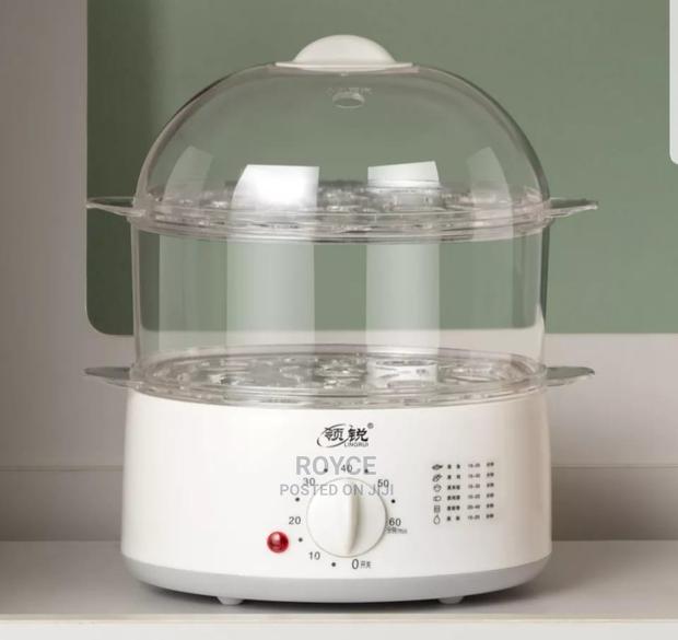 Electric Steam Cooker - main view
