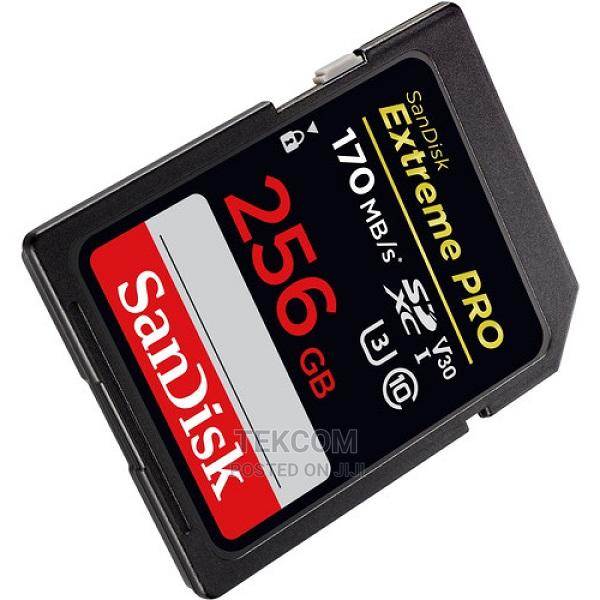 Sandisk Extreme Pro 256GB - main view