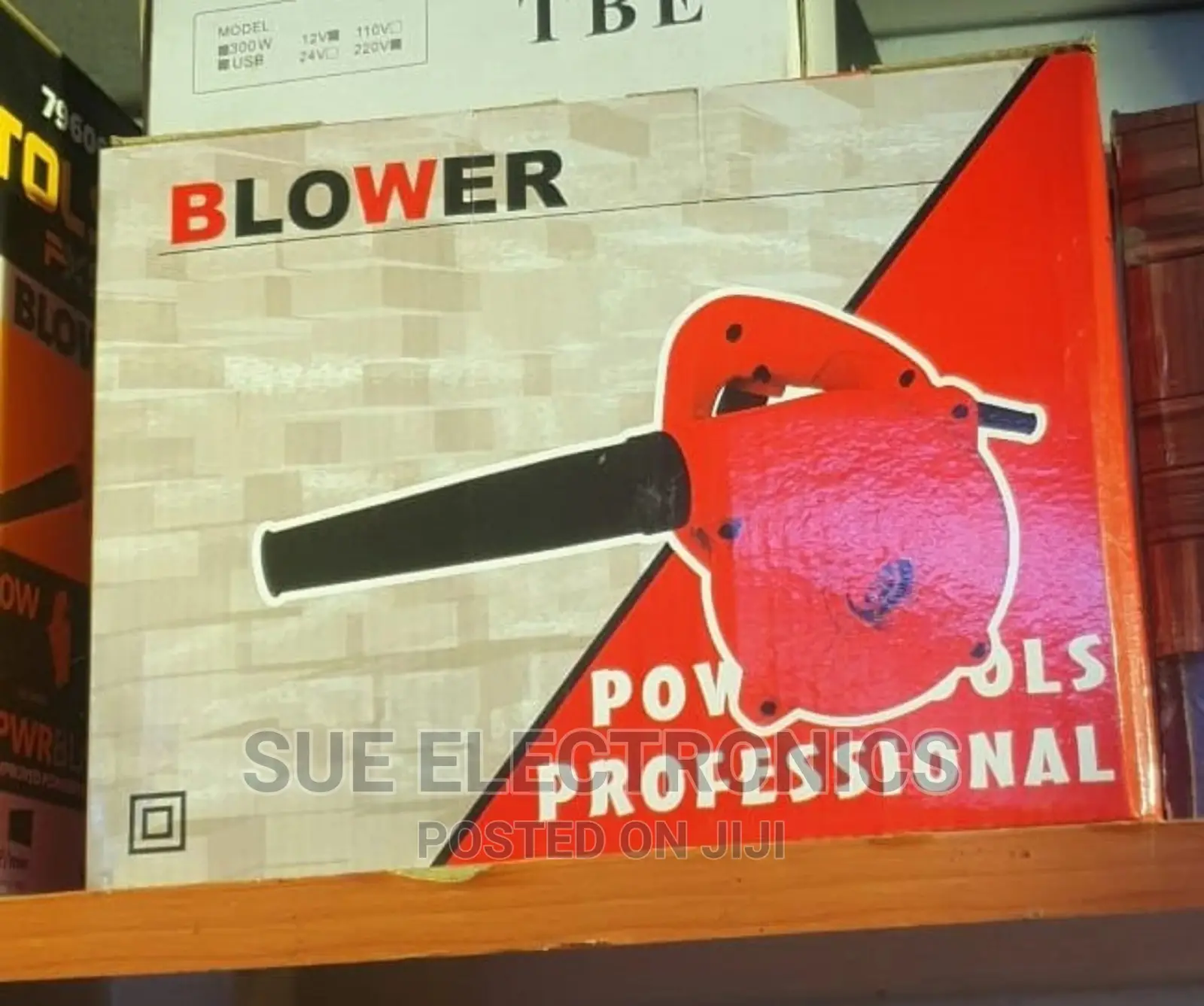 Professional Power Blower