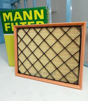 BMW X6 35d E70 35d Air Filter