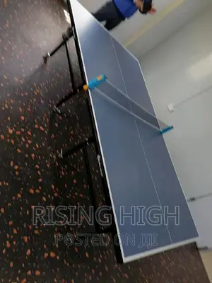 Unique and Finest Table Tennis