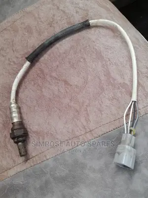 Suzuki Oxygen Sensors