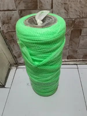 Coloured Nets