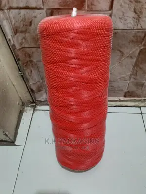Coloured Nets