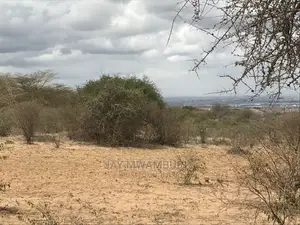 48 Acres Daystar Arthi River