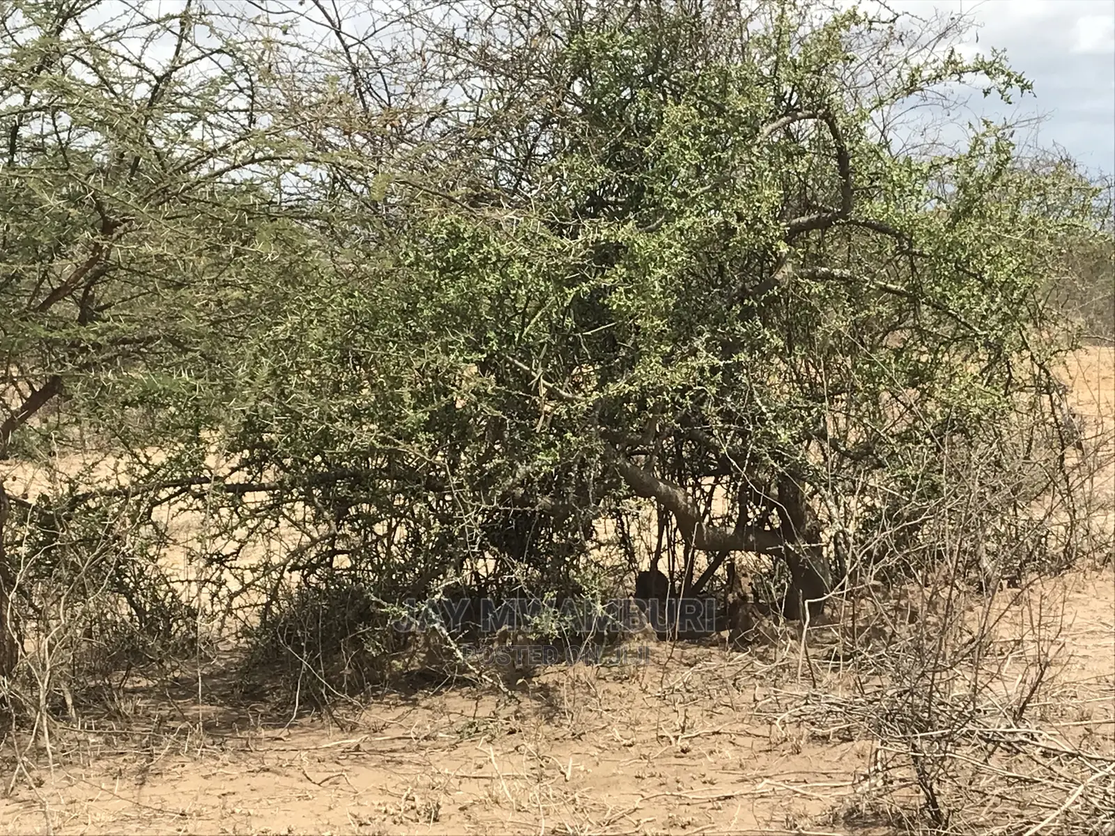 48 Acres Daystar Arthi River