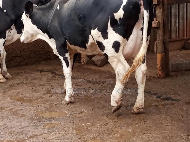 Fleckview for Sale - thumbnail 3