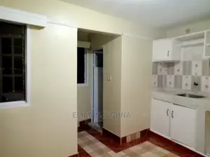 1bdrm Bedsitter in Buruburu for rent