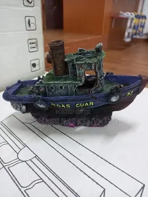 Coas Cuas , Wrecked Aquarium Ship
