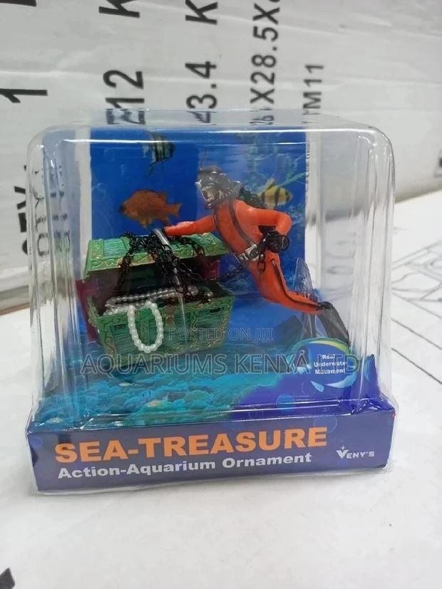 Sea Treasure Hunt , Active Aquarium Air Out