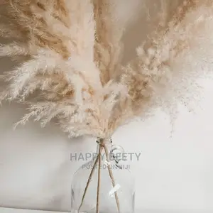 Big Size Fluffy Pampers Grass